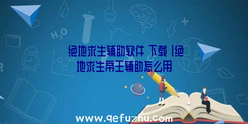 「绝地求生辅助软件